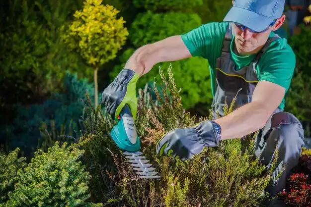 landscaping services Cutlerville